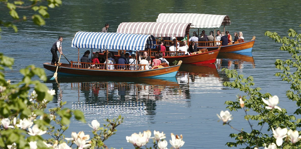 Tradicionalne pletene ladjice ob Blejskem jezeru, ki vozijo turiste po jezeru